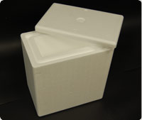 EXPANDED POLYSTYRENE BOX 50L FOR LONG TIME COLD CHAIN - THICKNESS 50MM